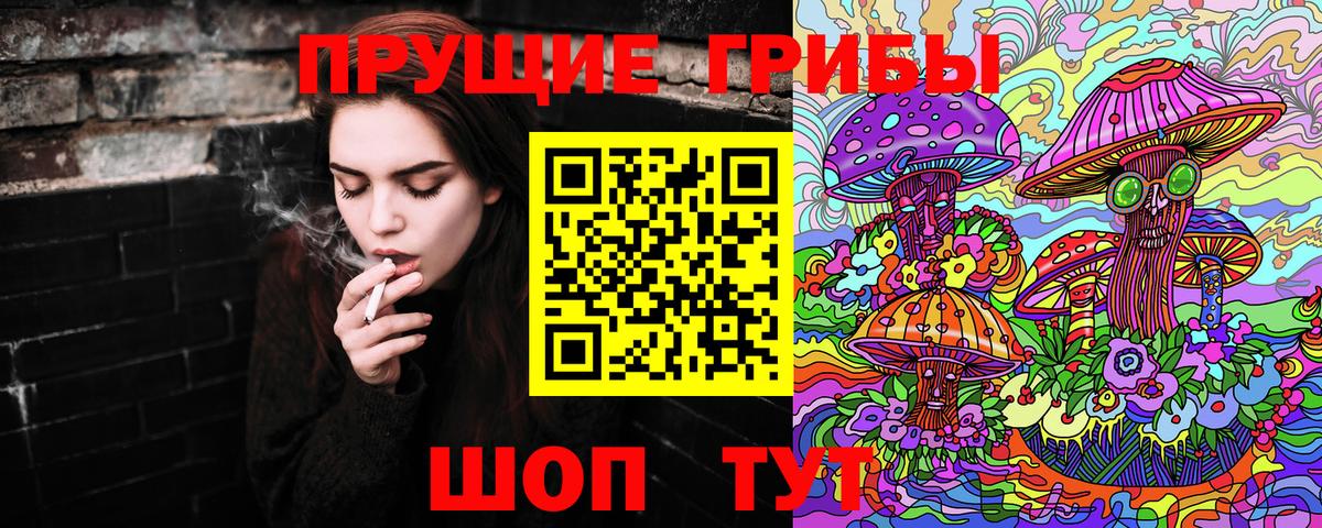 Галлюциногенные грибы Psilocybe Моздок